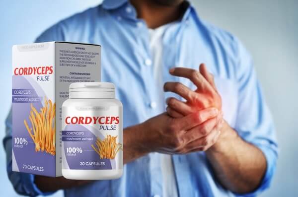 Como tomar Cordyceps Pulse