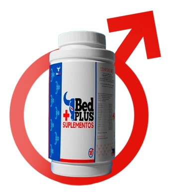 Bed Plus+ Cápsulas Angola