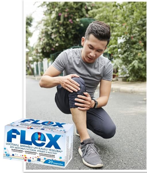O que é Flex e como funciona