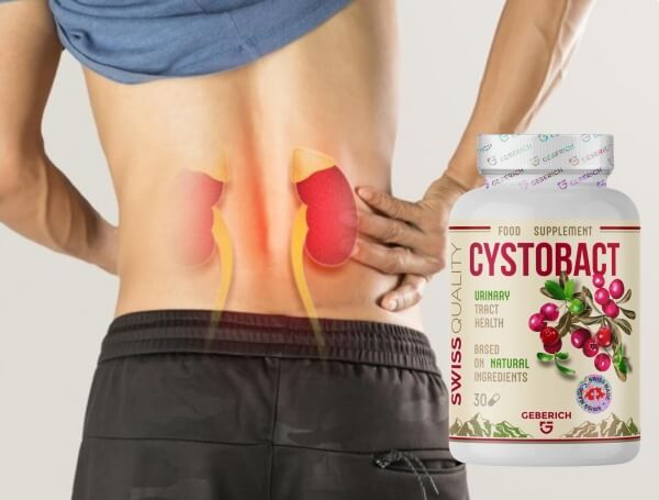 CystoBact Cápsulas Portugal - preço onde comprar Opiniões como usar