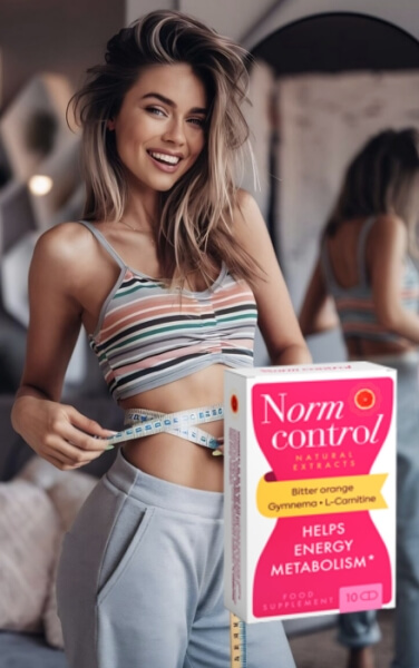 Como usar o Normcontrol - Instruções